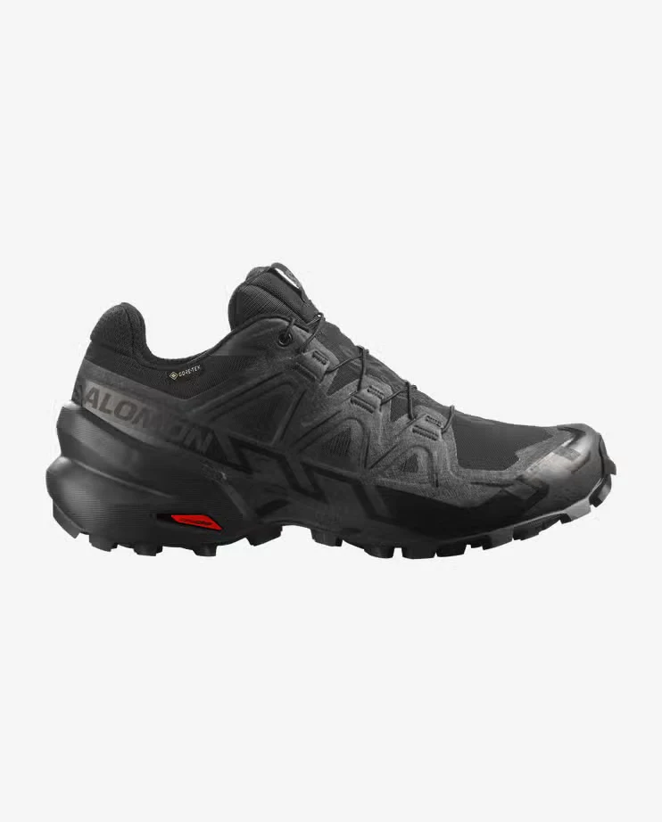 Speedcross 6 GTX W black/black