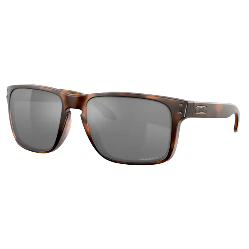 HOLBROOK XL Matte Brown Tortoise Prizm Black