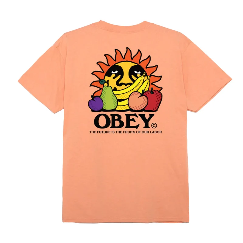 The future is the fruits of our labour classic tee