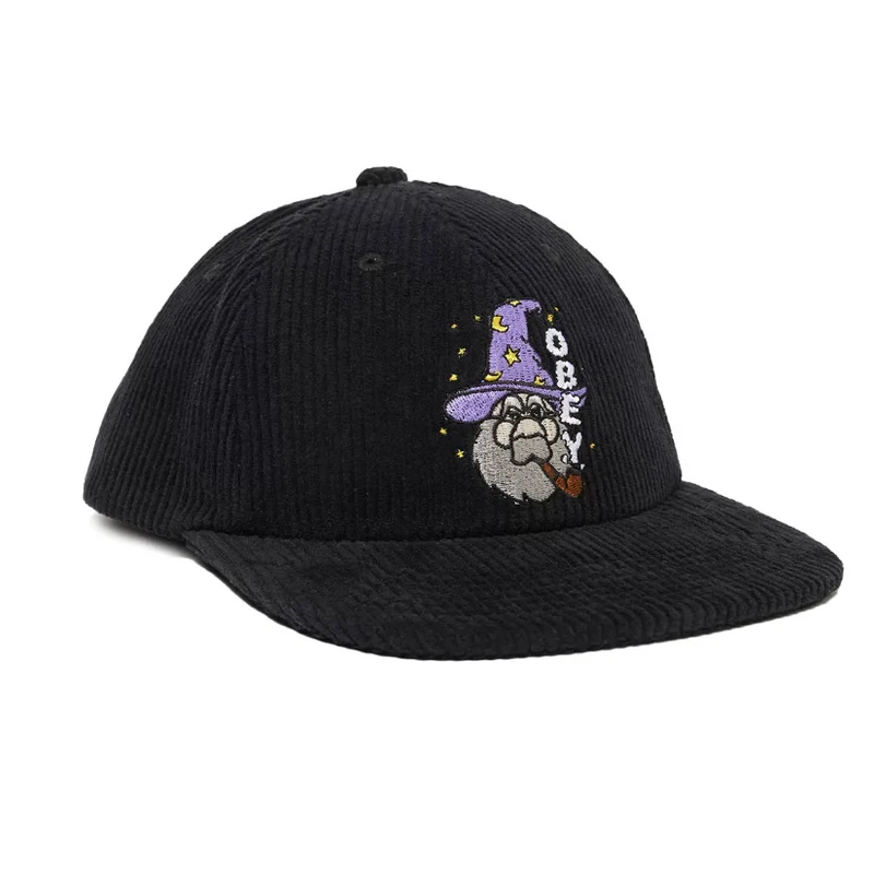 Wizard 6 panel snapback