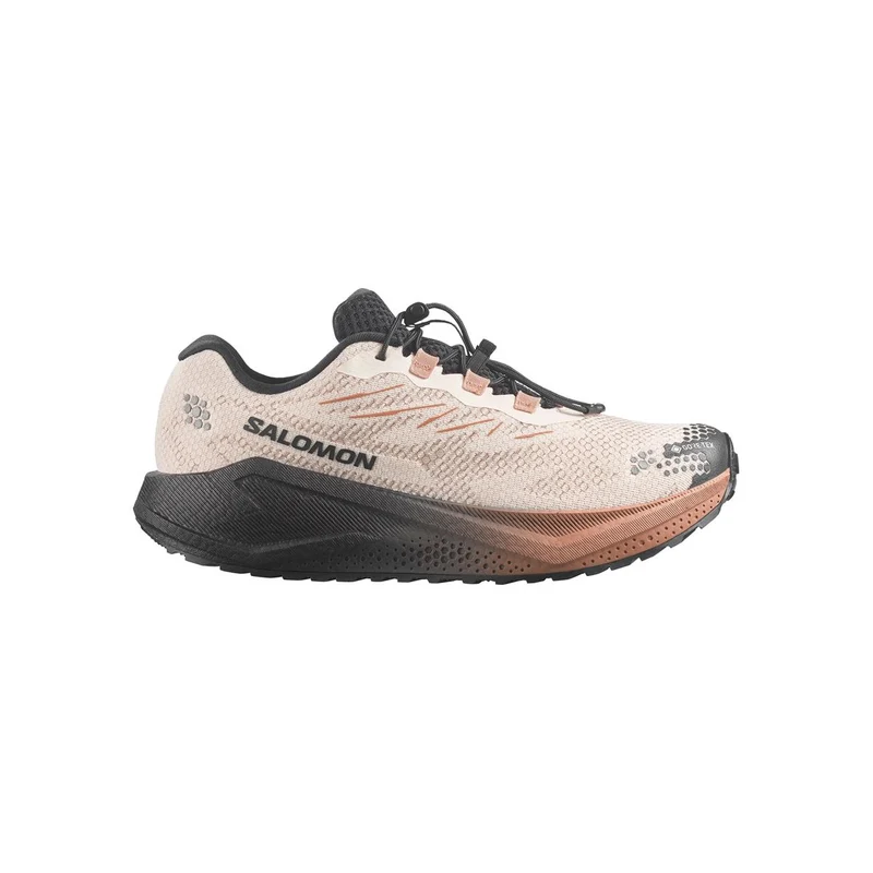 Salomon Aero Blaze 4 GRVL GTX Men vanilla ice black burro