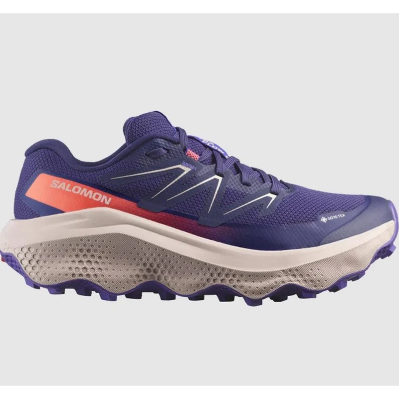 Salomon Ultra Flow 2 GTX W
