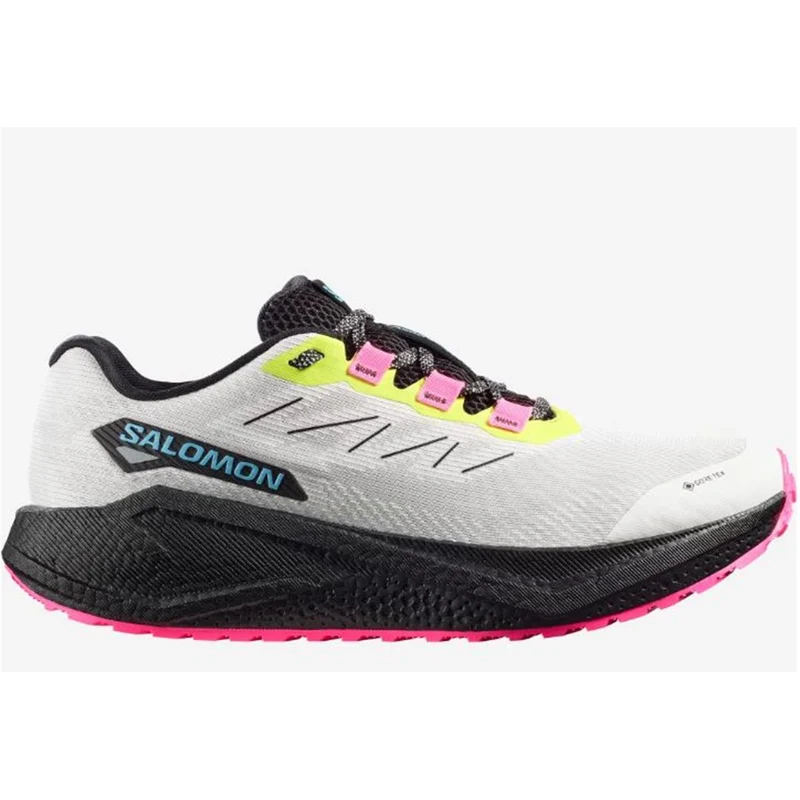 Salomon Aero Blaze 3 GRVL GTX Men vanilla ice black ojos del salar