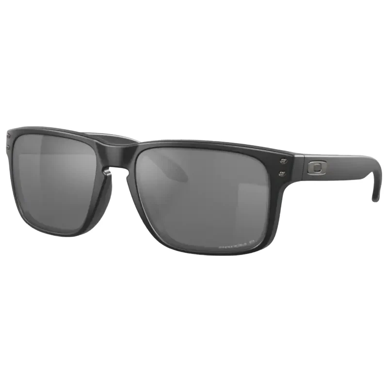 Holbrook Matte Black PRIZM Black Polar