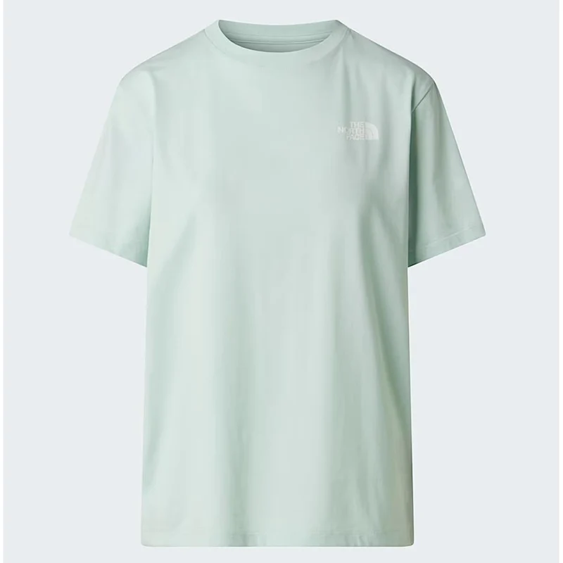 The North Face Evolution NSE Box relaxt geschnittenes T-Shirt für Damen Opal Frost