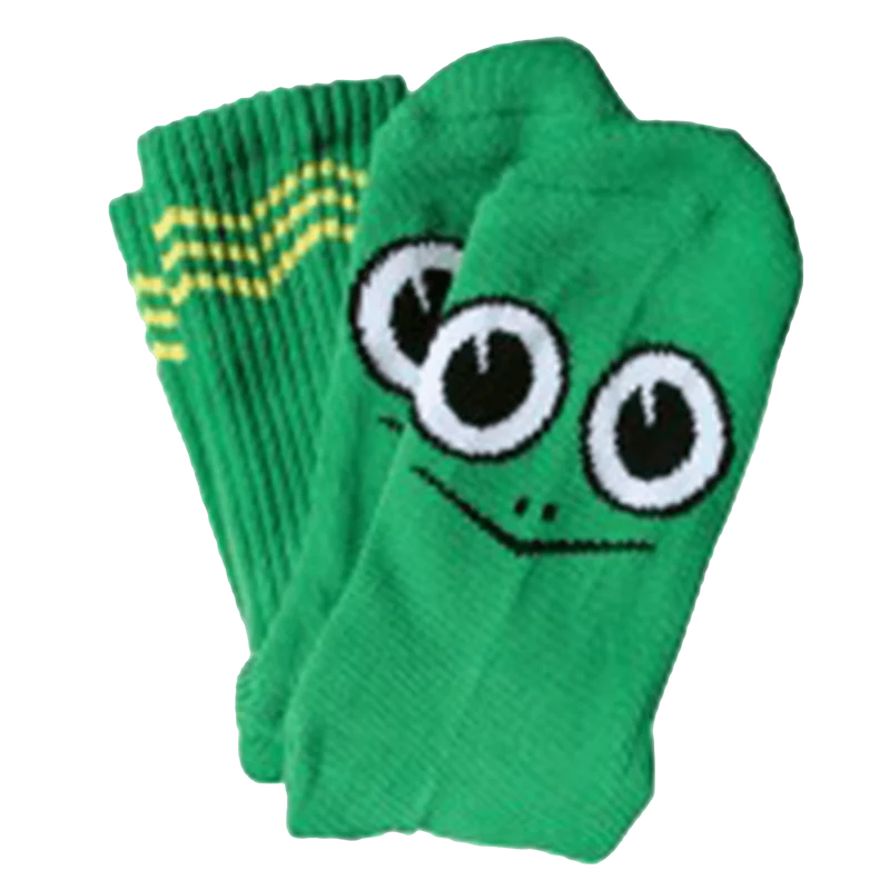 Toy Machine Turtle Boy Socks