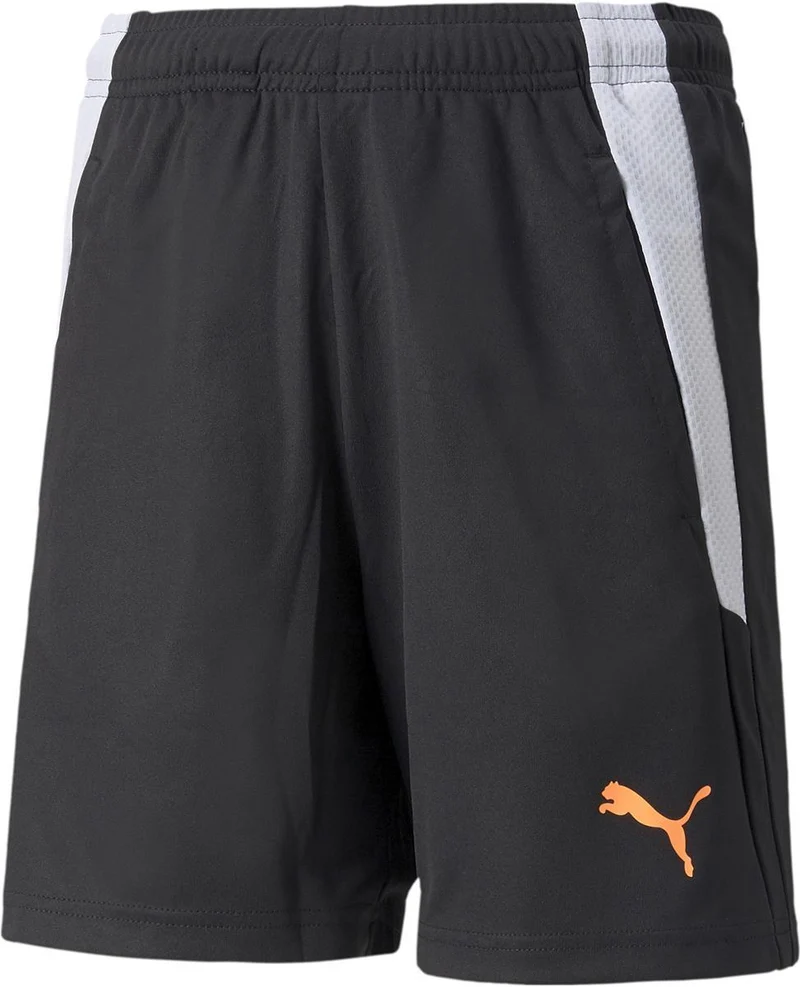 TEAMLIGA TRAINING SHORTS 2 JR, PUMA BLACK-OCEA, 152