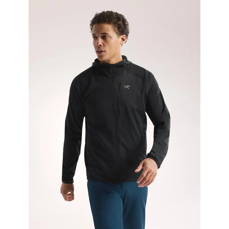 Arcteryx Delta Hoody Herren Schwarz